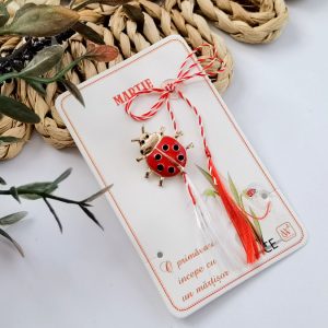 Alternative view of Martisor buburuza