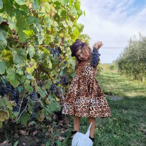 Alternative view of Rochie superinvartitoare animal print